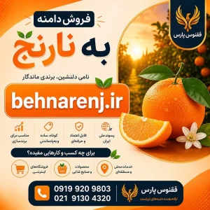 دامنه به نارنج behnarenj.ir-خرید دامنه رند