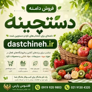 دامنه دستچینه dastchineh.ir-خرید دامنه رند