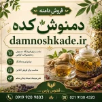 دامنه دمنوش کده damnoshkade.ir-خرید دامنه رند