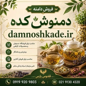 دامنه دمنوش کده damnoshkade.ir-خرید دامنه رند